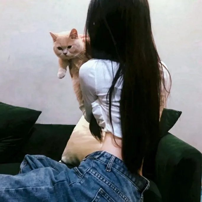 抱歉打扰你 在线观看
